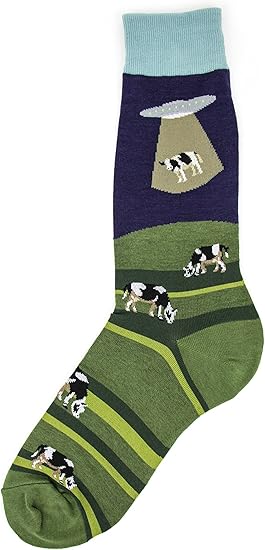 Men&#39;s Alien Abduction Socks